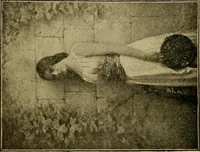 An illustration from [Catalog] (1902)