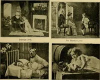 Picture 112 of 226 from [Catalog] (1902), leaf 38