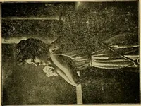 An illustration from [Catalog] (1902)