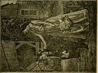 Picture 129 of 226 from [Catalog] (1902), leaf 42