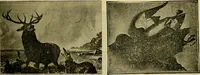 An illustration from [Catalog] (1902)