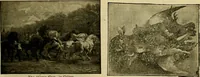 Picture 158 of 226 from [Catalog] (1902), leaf 50