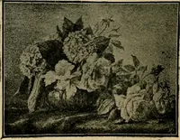 An illustration from [Catalog] (1902)