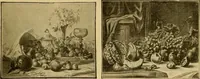 Picture 163 of 226 from [Catalog] (1902), leaf 52