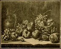 Picture 165 of 226 from [Catalog] (1902), leaf 52