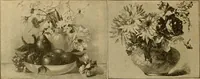 An illustration from [Catalog] (1902)