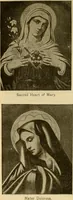 An illustration from [Catalog] (1902)