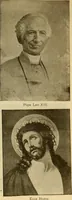 Picture 207 of 226 from [Catalog] (1902), leaf 65