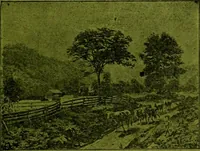 An illustration from [Catalog] (1902)