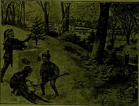 Picture 223 of 226 from [Catalog] (1902), leaf 69