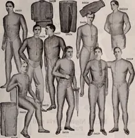 Picture 212 of 911 from [Catalog]. (1908), leaf 134
