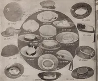 Picture 225 of 911 from [Catalog]. (1908), leaf 143
