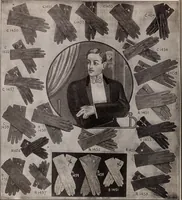 Picture 229 of 911 from [Catalog]. (1908), leaf 145