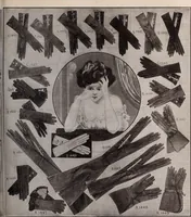 Picture 230 of 911 from [Catalog]. (1908), leaf 146
