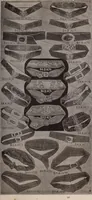 An illustration from [Catalog]. (1908)