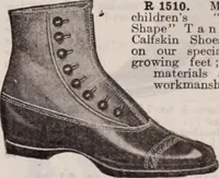 Picture 236 of 911 from [Catalog]. (1908), leaf 150