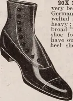 Picture 239 of 911 from [Catalog]. (1908), leaf 151