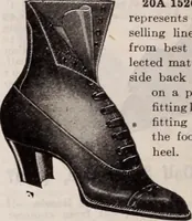 Picture 255 of 911 from [Catalog]. (1908), leaf 153