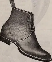 Picture 267 of 911 from [Catalog]. (1908), leaf 156