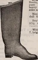 Picture 269 of 911 from [Catalog]. (1908), leaf 156