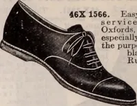 Picture 278 of 911 from [Catalog]. (1908), leaf 157