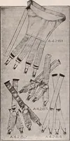 Picture 336 of 911 from [Catalog]. (1908), leaf 207