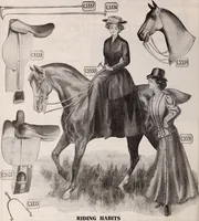 Picture 344 of 911 from [Catalog]. (1908), leaf 215