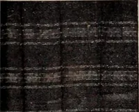 Picture 379 of 911 from [Catalog]. (1908), leaf 226