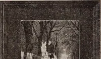 Picture 390 of 911 from [Catalog]. (1908), leaf 229