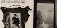Picture 391 of 911 from [Catalog]. (1908), leaf 229
