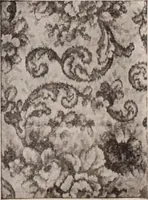 Picture 410 of 911 from [Catalog]. (1908), leaf 234
