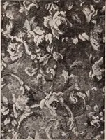 Picture 415 of 911 from [Catalog]. (1908), leaf 235