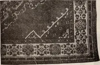 Picture 424 of 911 from [Catalog]. (1908), leaf 237