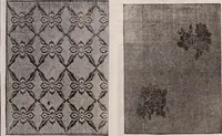 Picture 430 of 911 from [Catalog]. (1908), leaf 238