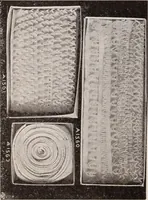 Picture 522 of 911 from [Catalog]. (1908), leaf 281