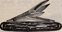 Picture 543 of 911 from [Catalog]. (1908), leaf 290