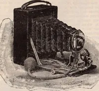 Picture 555 of 911 from [Catalog]. (1908), leaf 293