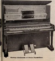 Picture 589 of 911 from [Catalog]. (1908), leaf 314
