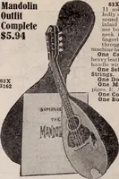 Picture 594 of 911 from [Catalog]. (1908), leaf 317