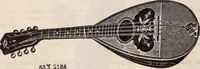 Picture 600 of 911 from [Catalog]. (1908), leaf 319