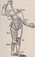An illustration from [Catalog]. (1908)