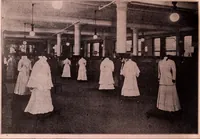 Picture 4 of 911 from [Catalog]. (1908), leaf 5