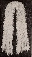 Picture 98 of 911 from [Catalog]. (1908), leaf 68