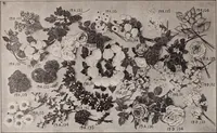 Picture 101 of 911 from [Catalog]. (1908), leaf 71