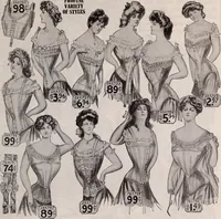 Picture 105 of 911 from [Catalog]. (1908), leaf 74