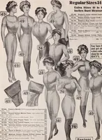 Picture 114 of 911 from [Catalog]. (1908), leaf 81