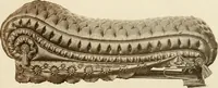 Picture 15 of 121 from [Catalog] (1900), leaf 16
