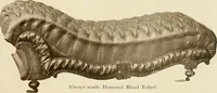 Picture 39 of 121 from [Catalog] (1900), leaf 28