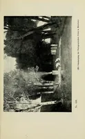 An illustration from Catalog der öffentlichen Kunstsammlung von Basel .. (1904)