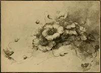 An illustration from Catalog E. (1909)